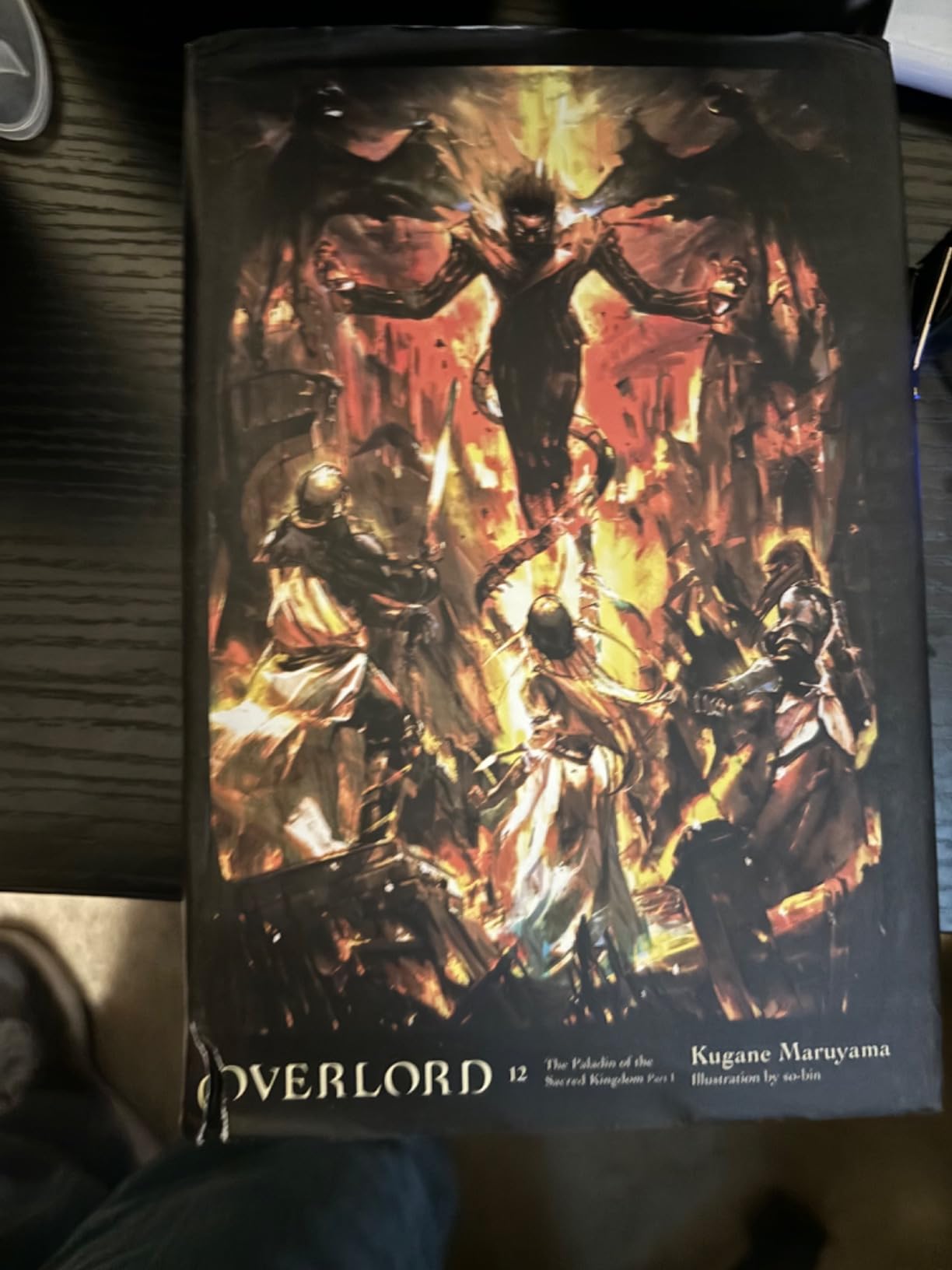 Overlord Light Novel Set 1-16 by Kugane Maruyama Hungary | Ubuy