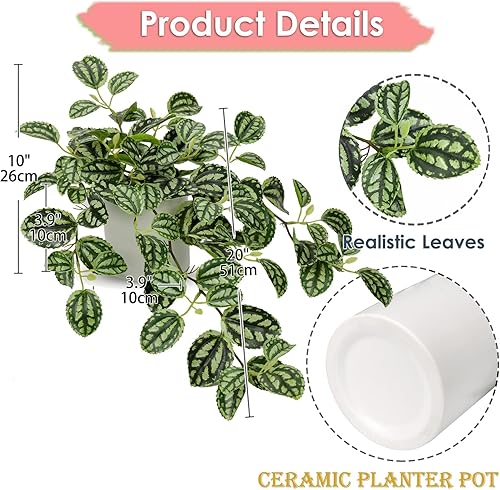 Miniatura 2 de Plantas falsas, planta colgante artificial de 20 pulgadas en maceta de cerámica, peperomia sintética, sandía, vid en maceta para el hogar,