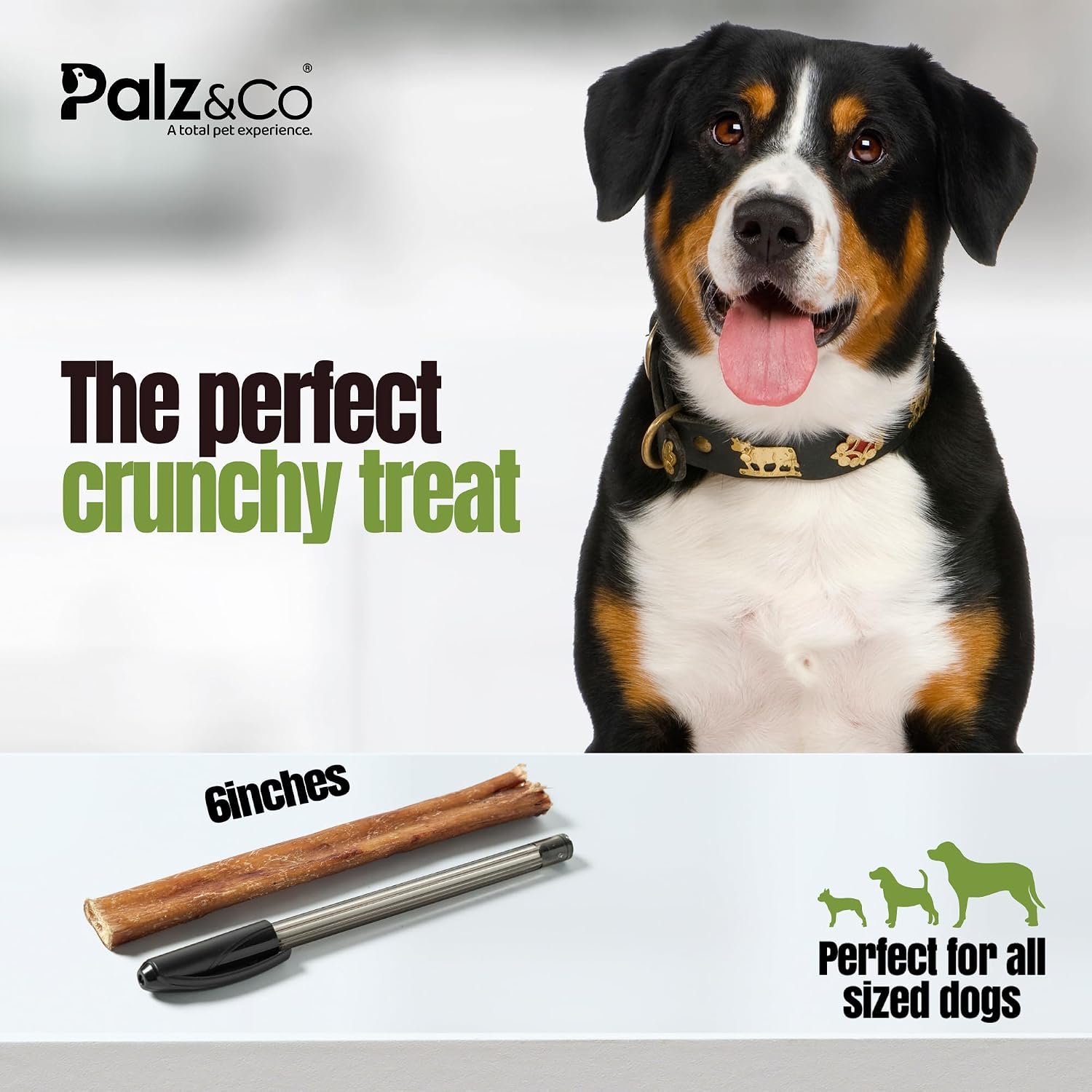 Palz&Co Moodog Slim 6" Bully Sticks for Dogs - All Natural Dog Chews, Single Ingredient, Long-Lasting Chew Treats for Small Dogs & Light Chewers, 25 Pack