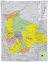 Bolivia Map Posters World Map Tapestry Wall Art Picture Print Modern Family Bedroom Decor Tapestries 30"x40"