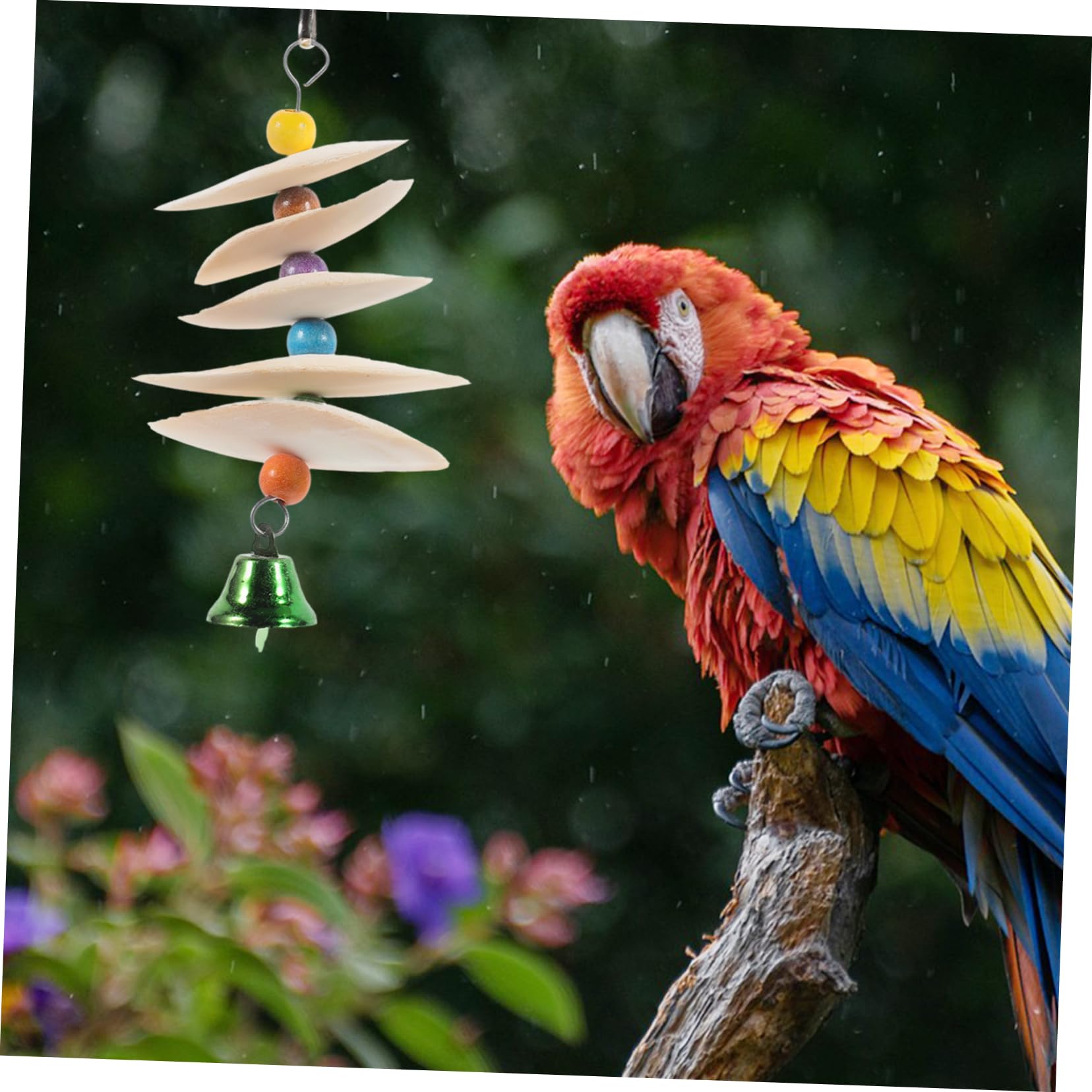 Sepia Schalen Für Vögel - 2 Stück Tintenfischknochen Für Schnabelpflege