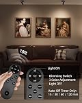 EZVALO Wireless LED Spotlights Indoor, 5500mAh Rechargeable Battery Powered Plant Spotlights Indoor, Dimmable & Timer, 3 CCT Small Up Lights with Remote, Accent Uplighting for Artwork, Tree (Black)