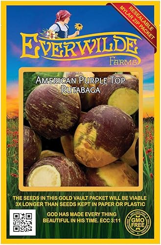 Everwilde Farms - 500 semillas de Rutabaga American Purple Top - Paquete de semillas jumbo Gold Vault