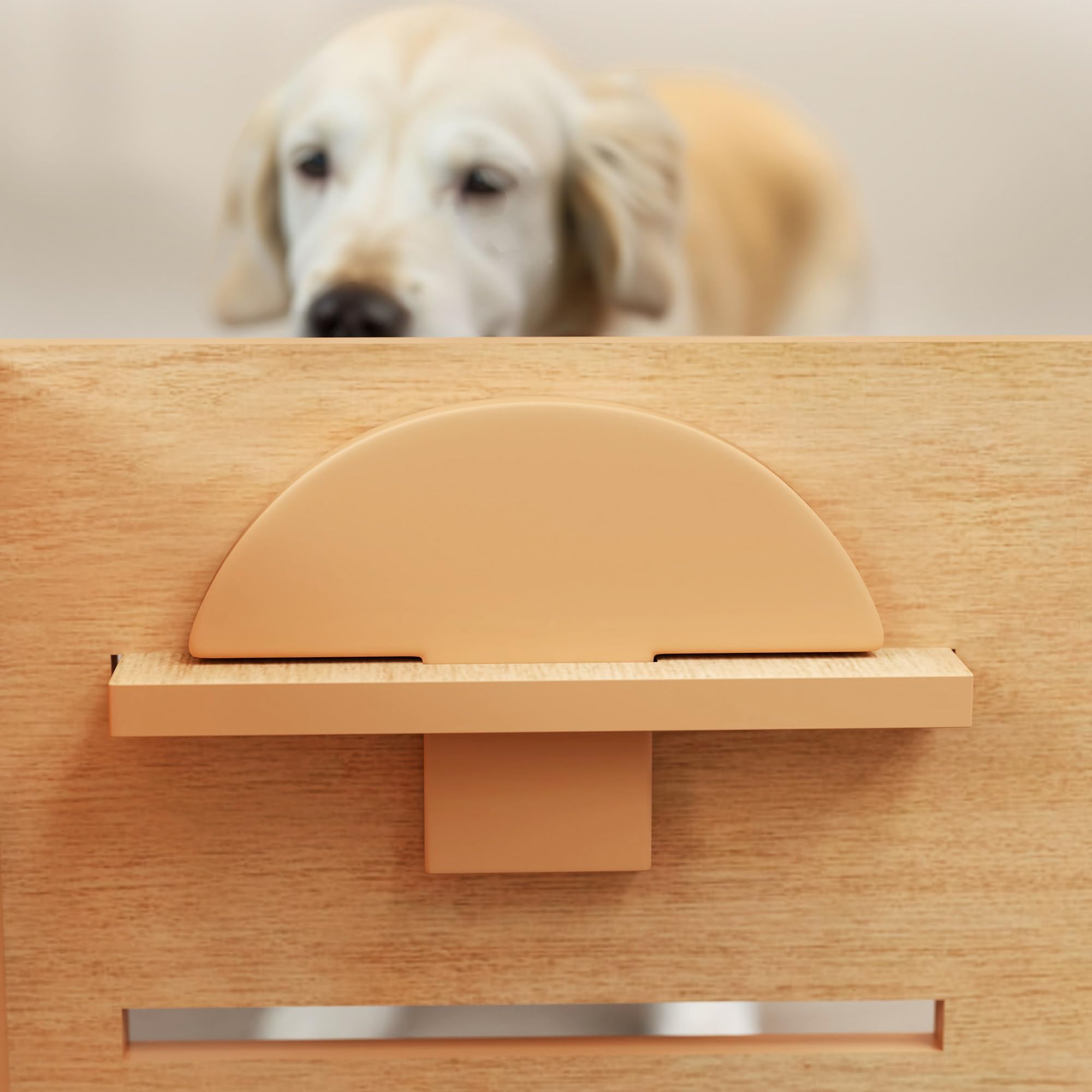 PawHut Ciotola per Cani rialzata di 3 Altezze Regolabili, Ciotola per Cani con 2 Ciotole in Acciaio Inox, Tappetino per Alimentazione Lento, Design Separato, per Cani Piccoli, Medi e Grandi, Rovere