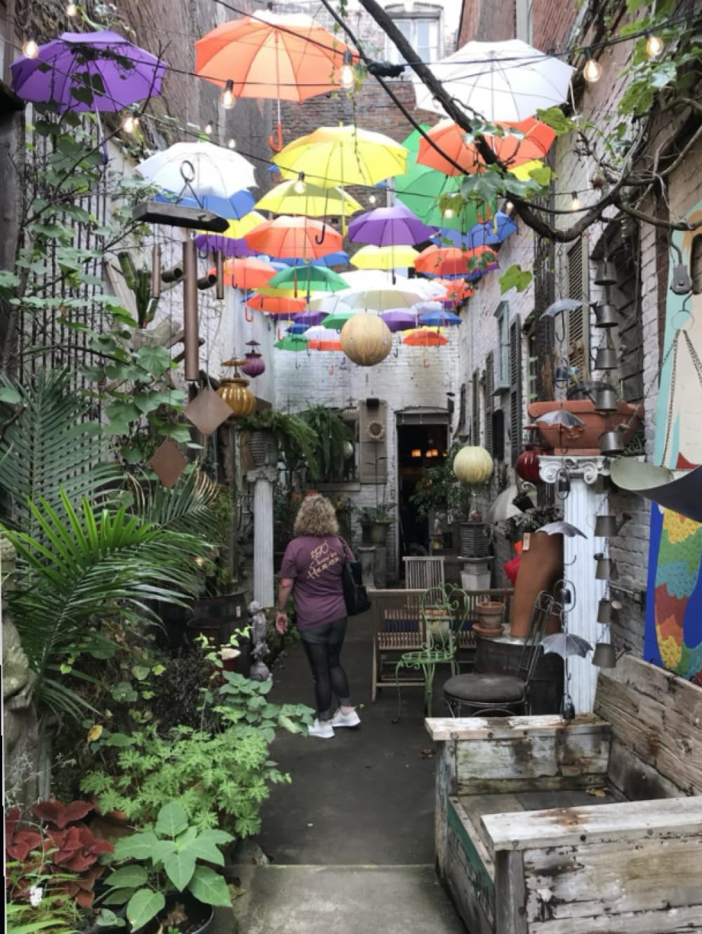Mozzy’s Lens Travel Food Adventure : l'album idéal pour ne plus jamais oublier vos recettes de voyage