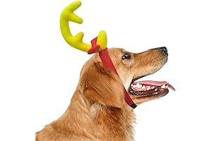 Grinch Dog Antler: The Cutest Christmas Headband
