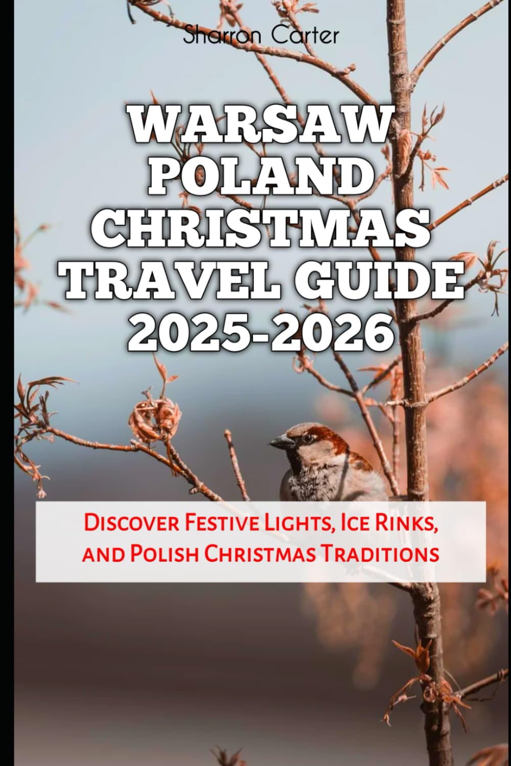 Warsaw Poland Christmas Travel Guide 2025-2026: Discover Festive Lights, Ice Rinks, and Polish Christmas Traditions (Winter and Christmas 2025-2026 Travel Guide and Vacation Book)