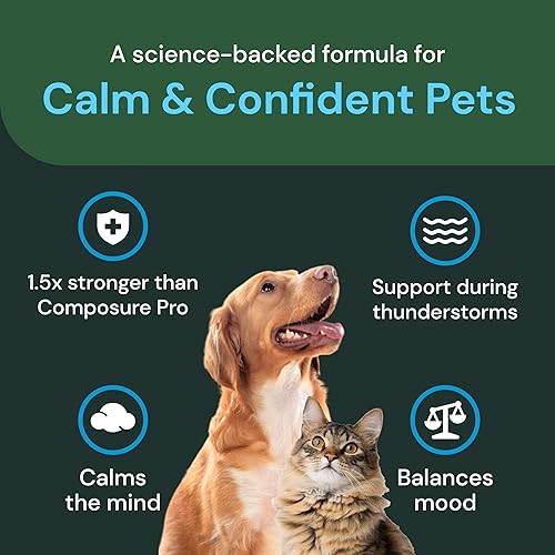 Miniatura 6 de VetriScience Max Veterinary Strength Calm & Confident Chews - Suplemento de estrés para mascotas - Apoya la función cerebral para gatos y perros -