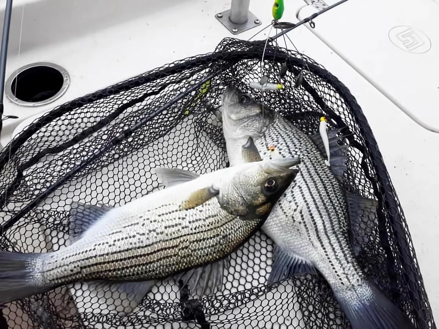 Leurres De Pêche Popper Appâts Artificiels En Plein Air Portable