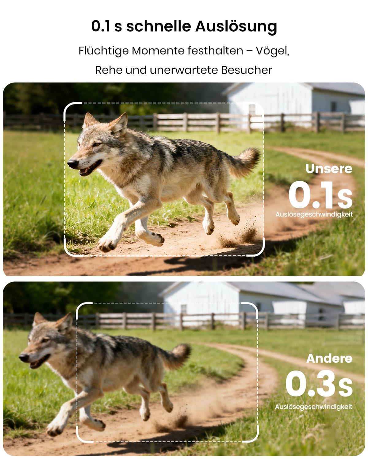Misstech 4K 64MP UHD Solar Wildkamera mit Handyübertragung App, Klare Nachtsicht, Solar-autark, 0,1s Bewegungsmelder, Ohne ABO, Lokal Gespeichert, Datensicher, IP66 für Garten & Naturschutz