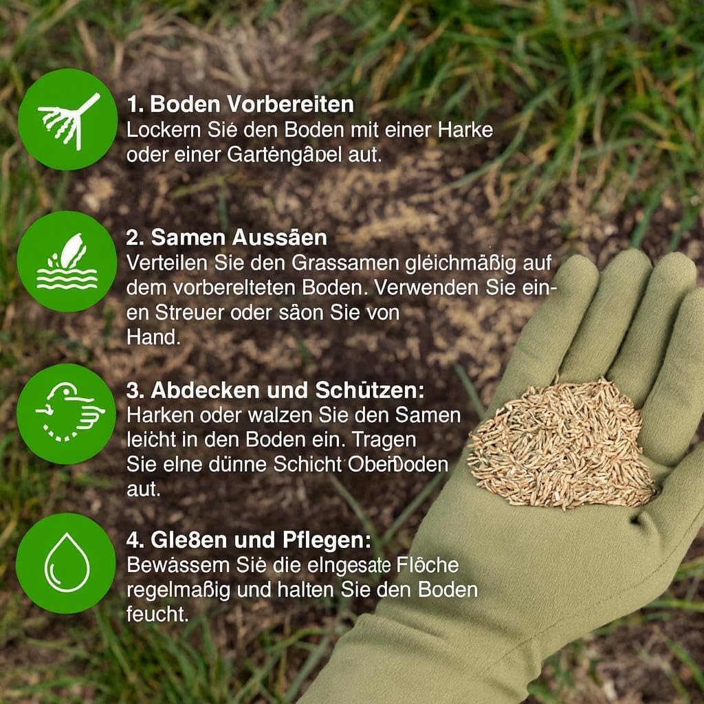 GroundMaster: seme di erba per prato posteriore premium resistente, resistente all'usura e resistente. Varie dimensioni disponibili.