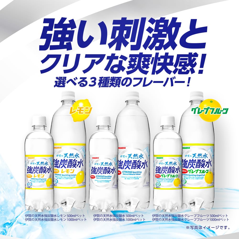 伊賀 の 天然 水 強 炭酸 水
