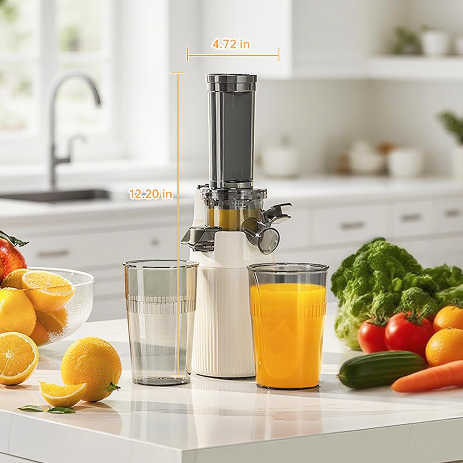 Slow Juicer, Cold Press Masticating Juice Extractor, Model SJ-019, with Pulp Collection Cup