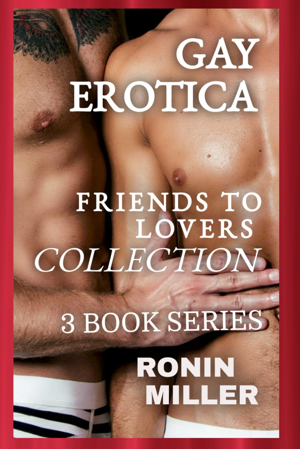GAY EROTICA: FRIENDS TO LOVERS COLLECTION