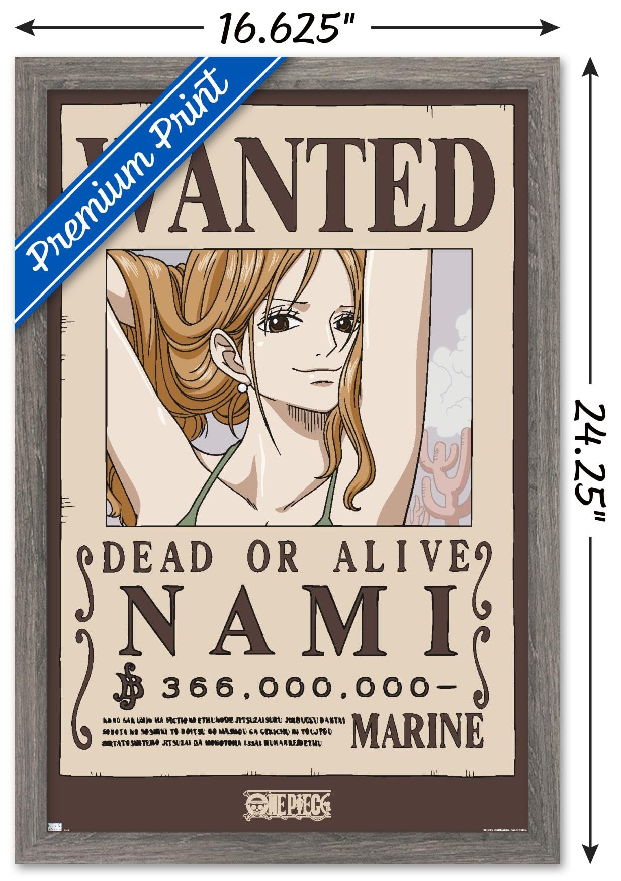 Amazon.com: Trends International One Piece - Nami Wanted Poster