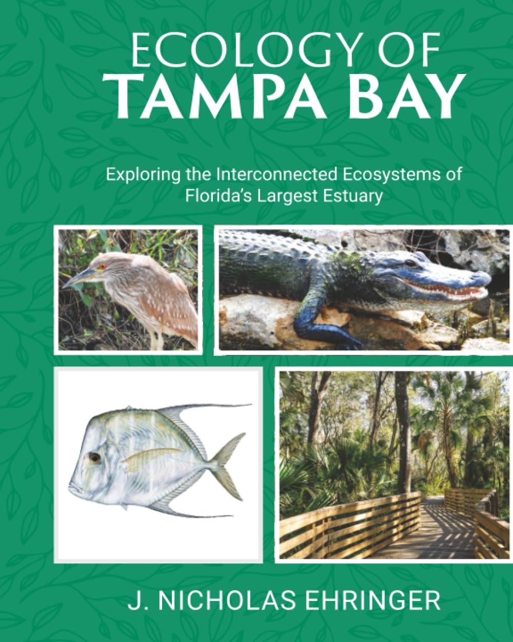 Ecology of Tampa Bay: Exploring the Interconnected Ecosystems of Florida's Largest Estuary