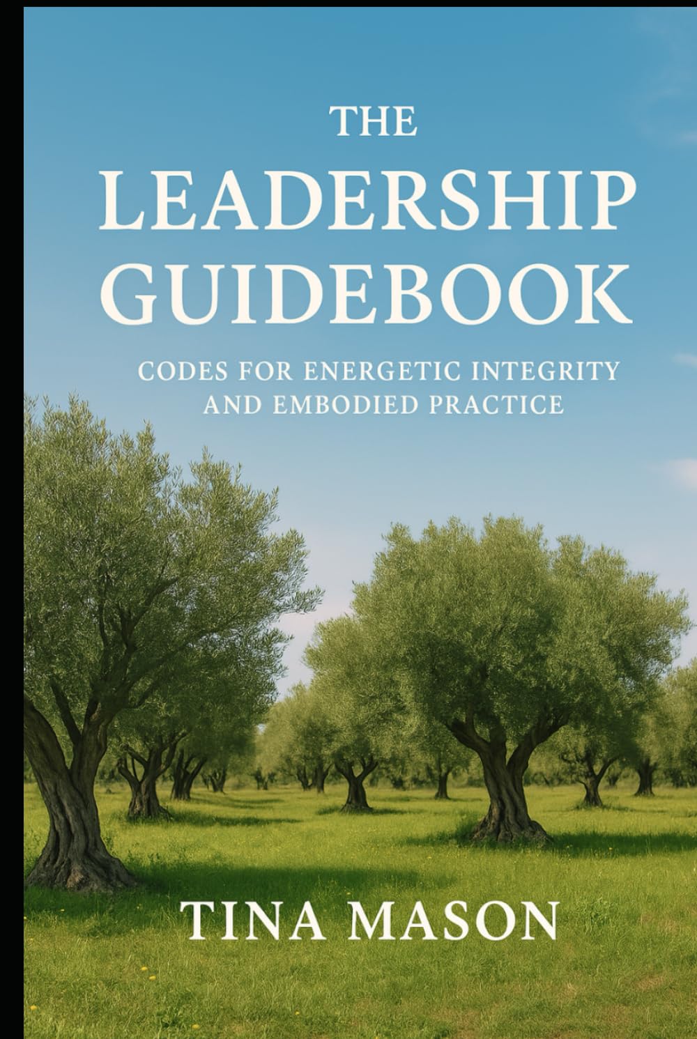THE LEADERSHIP GUIDEBOOK: CODES FOR ENERGETIC INTEGRITY AND EMBODIED PRACTICE