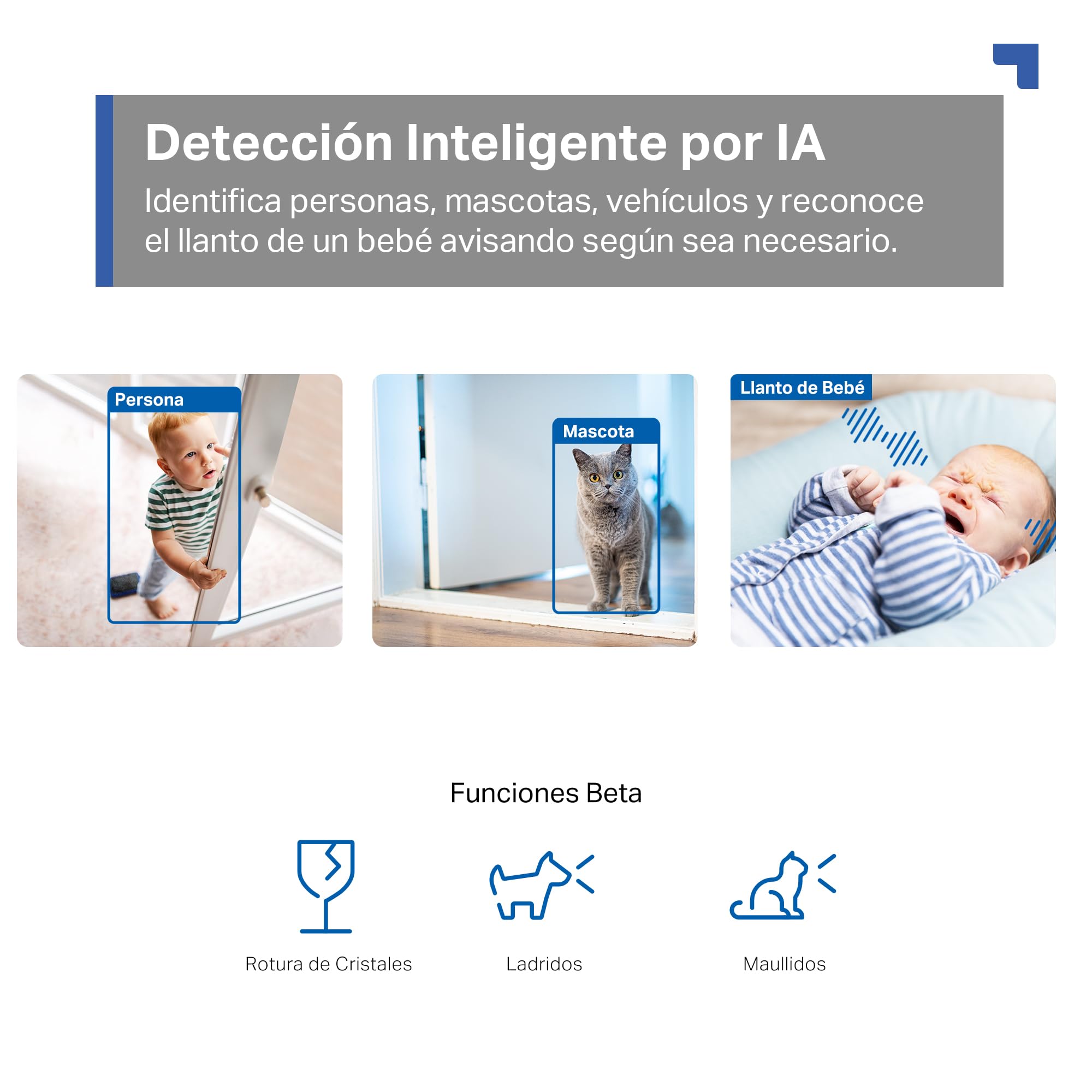 Tapo C230 - IA Cámara Vigilancia 360°, 3K 5MP, Alarma Sonora/Luz, Visión Nocturna, Audio Bidireccional, AI Detección Movimiento, Control Google/Alexa, Tarjeta SD hasta 512G, Fácil configuración — view 4