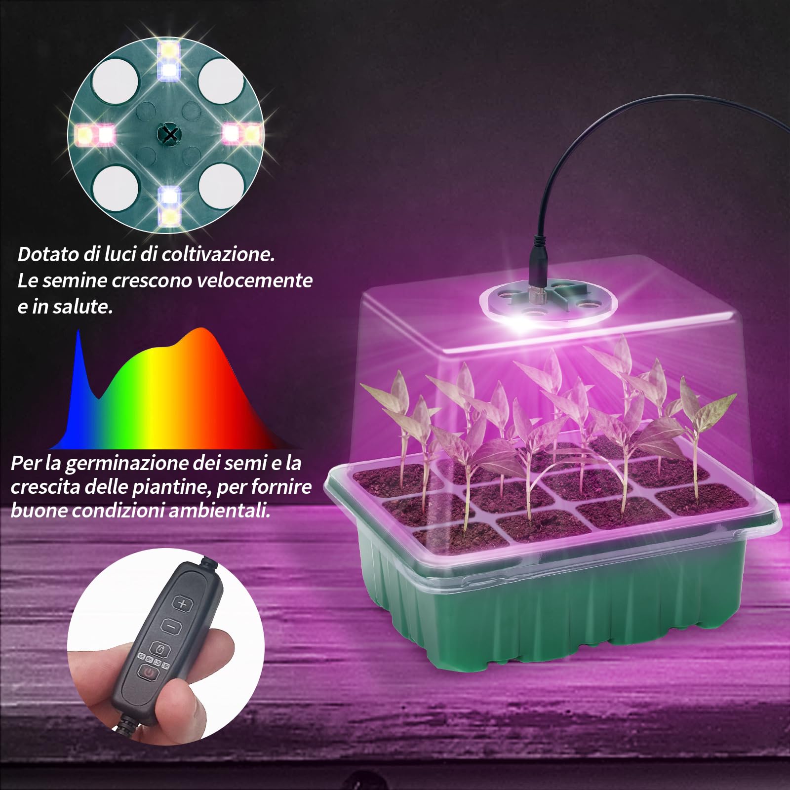 6 Pezzi Vassoi per La Germinazione, Vassoi per Semi Con Luce A Spettro Completo Kit, Semenzaio Propagatore Semi con Grow Light Vassoio per Serra Giardino Verdura Frutta Seme Piante In Mini Serra
