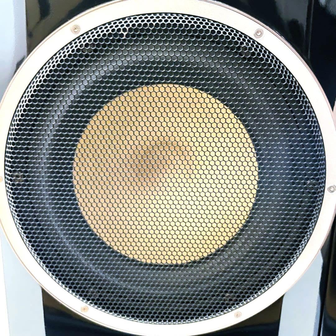 【超高級】定価350万 Naturephone 6501P1 スピーカーペア 超高級】定価350万 Naturephone 6501P1 スピーカーペア Amazon.co.jp