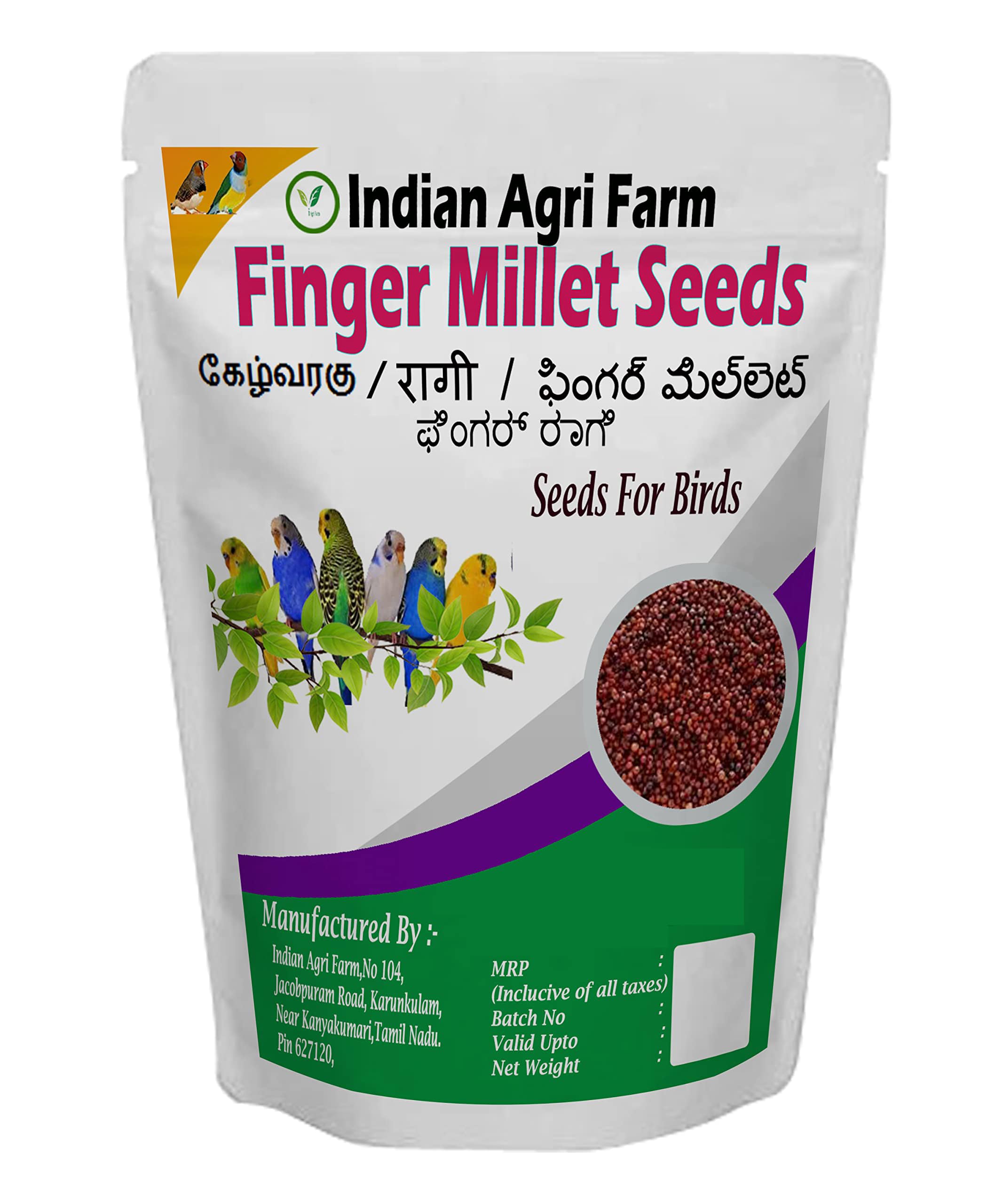 IAgriFarm Adult Finger Millet (Ragi),Kelvaragu Superior Bird Food-5 Kg-For Cocktails,Silver,Finches,Munias,Parkeets,Parrots,Budgies & Other Grain And Seed Eating Birds. (B0C1P2S1MT) Amazon Price History, Amazon Price Tracker
