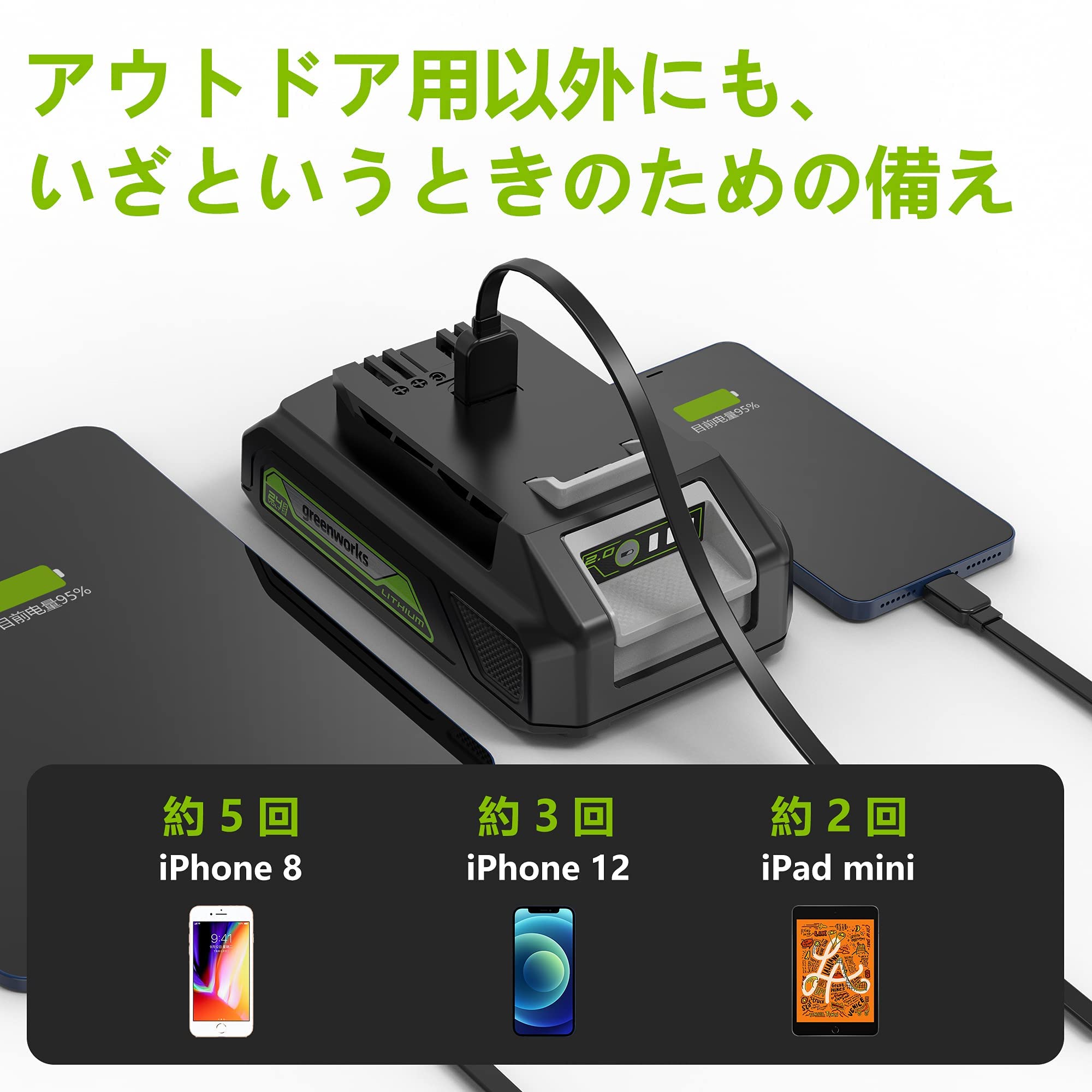 Amazon.co.jp: Greenworks(グリーンワークス) 24Vシリーズ交換用