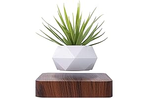 Magnetically Levitating Air Bonsai Pot: A Plant's Mystical Floatation