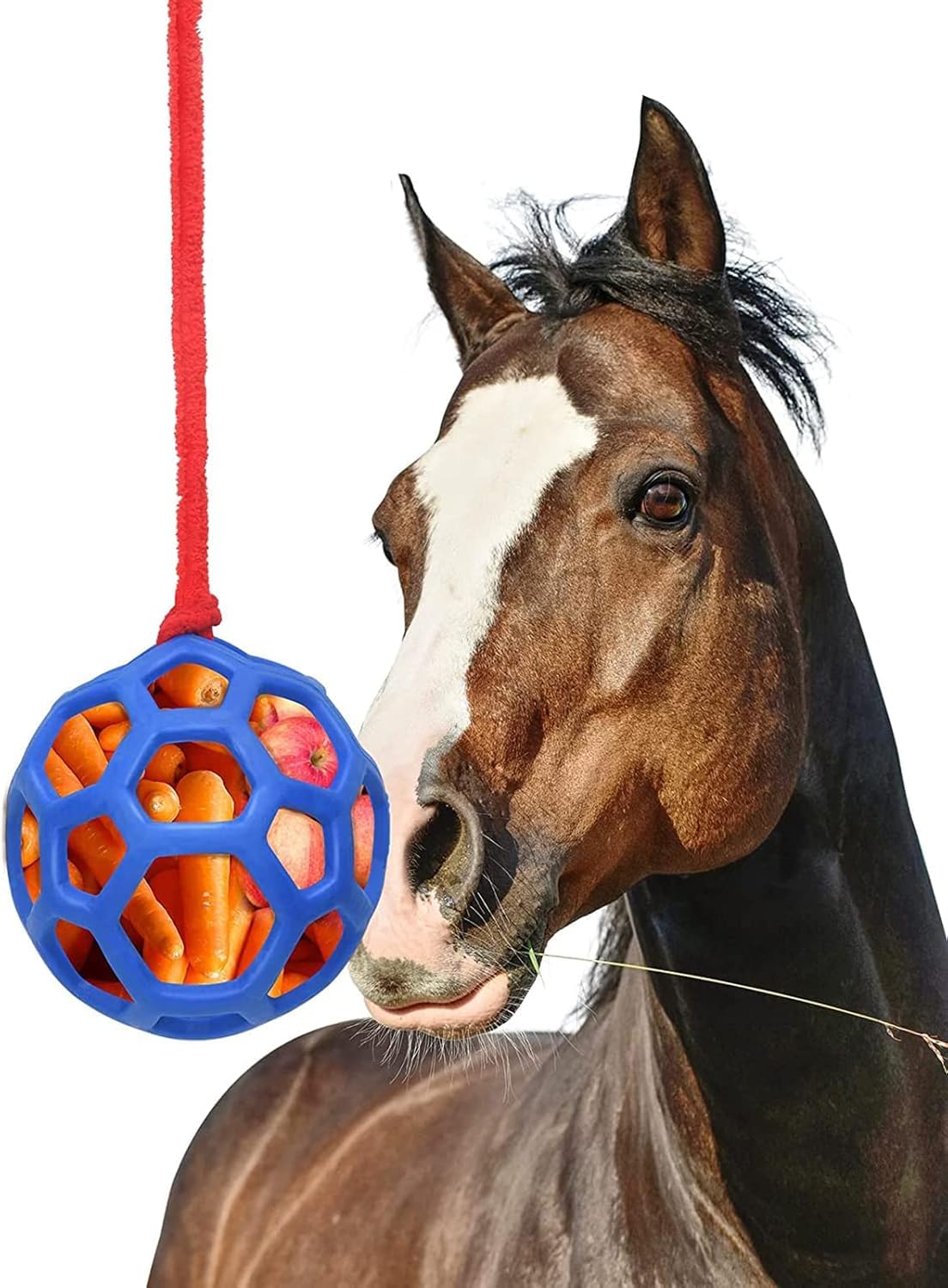 Mangeoire de foin pour chevaux anti-gaspillage jouet suspendu en silicone
