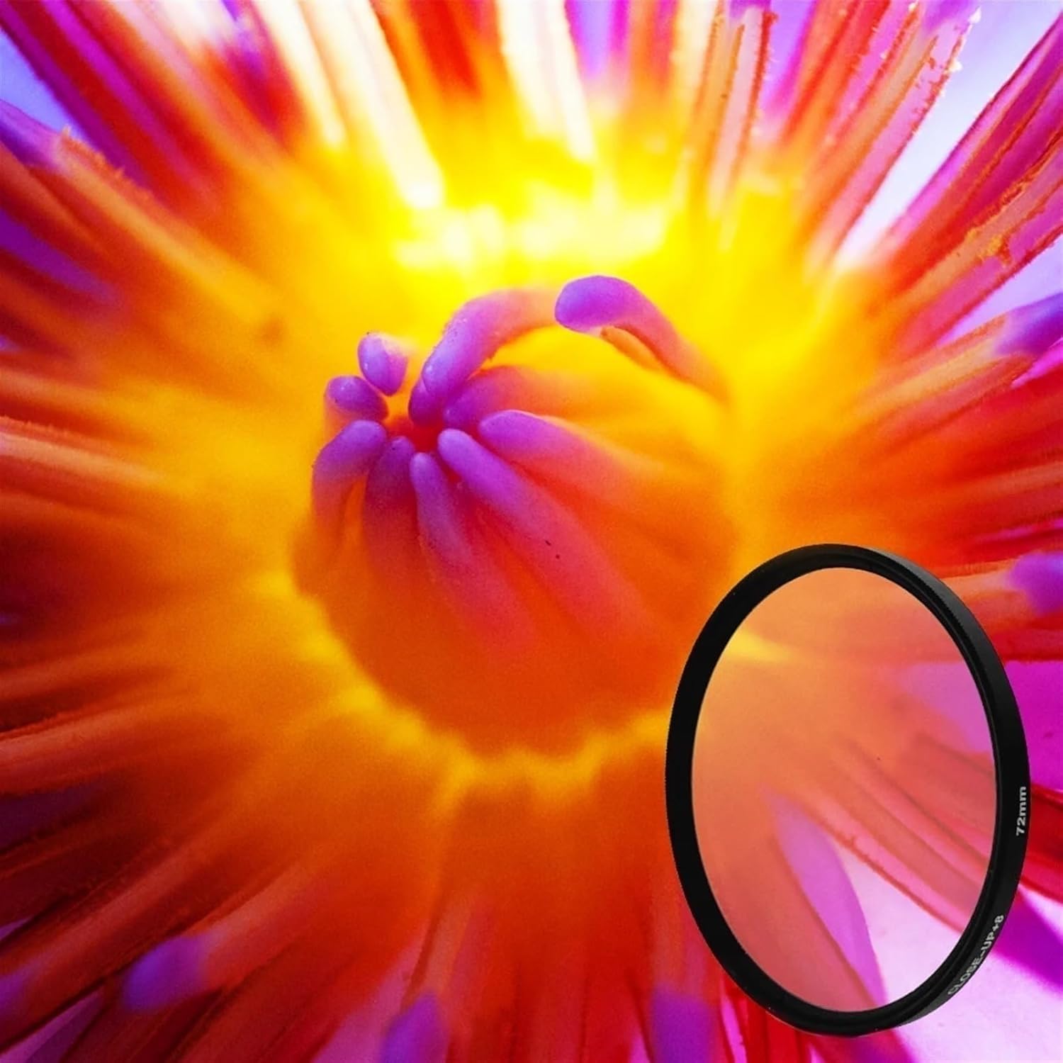 クローズアップマクロフィルター +1 +2 +4 +10 クローズアップ 37MM 40.5MM 43MM 49MM 52MM 55