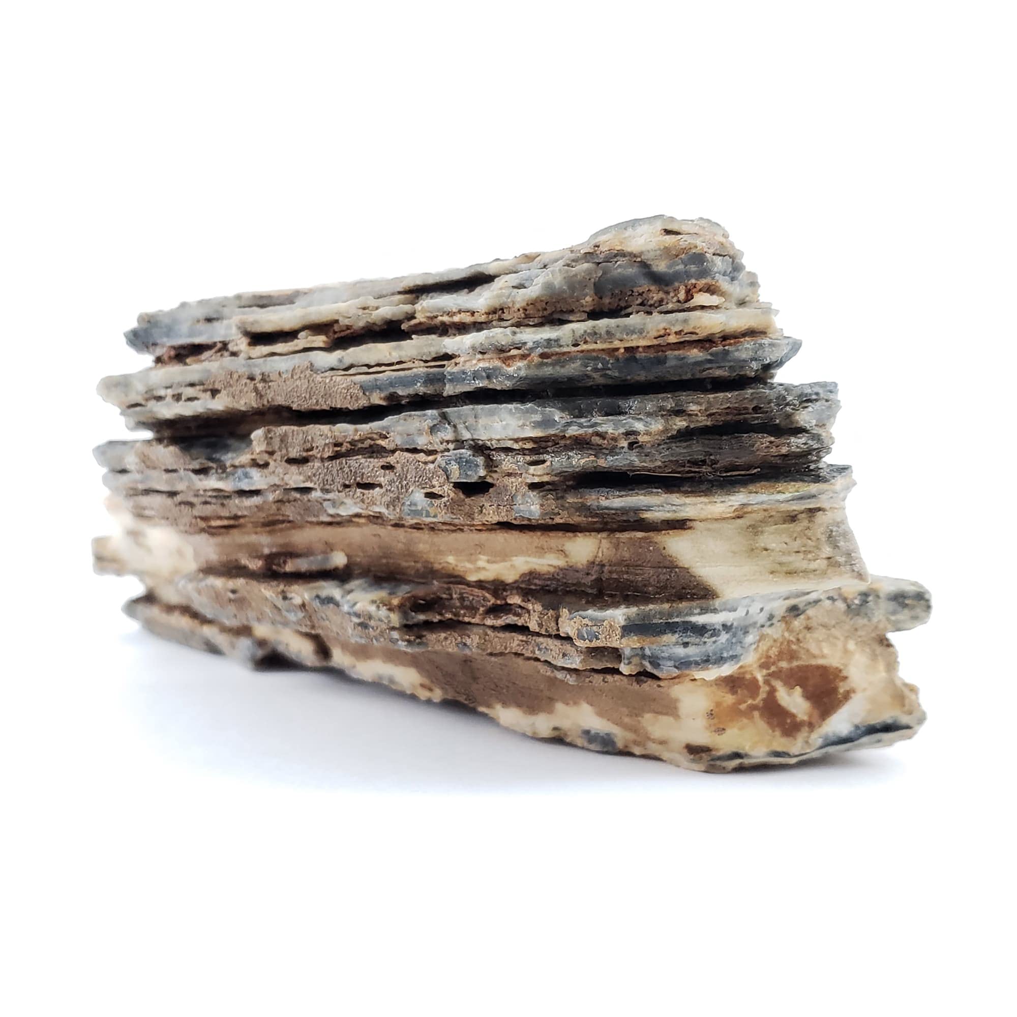 Lifegard AquaticsAquascaping Pagoda Stone 10 Gallon Aquarium Kit, Brown