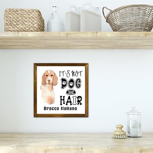 Vista 78 de Letrero de madera con texto en inglés «It's Not Dog Hair» («It's Not Dog Hair» American Bully Dog Dog), regalo decorativo para la pared del hogar