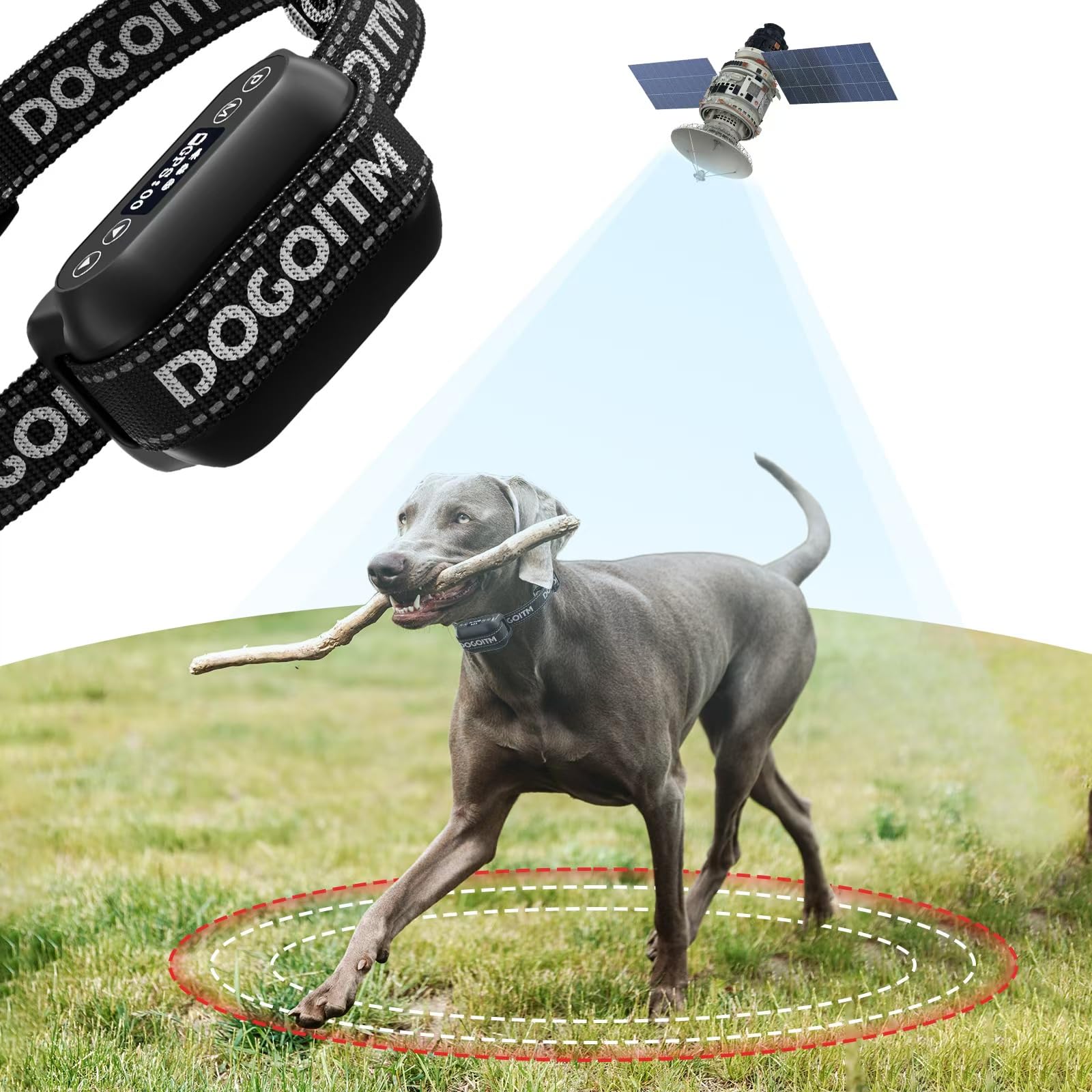 Gps Chip G Paws Pet Tracker TrackiPet