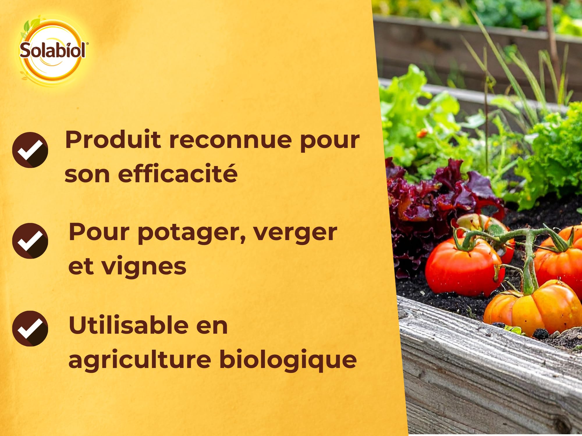 SOLABIOL Bouillie Bordelaise - Granulés - 200L de Solution - 800g | Fongicide Polyvalent - Préventif & Traditionnel - Mildiou, Tavelure, Cloque - Coloration Bleue - SOBB800