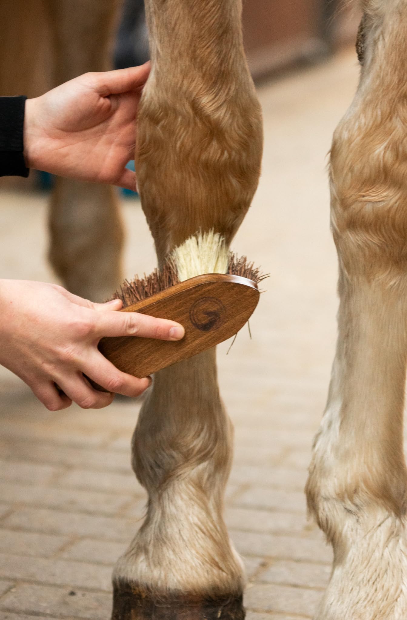 Cepillo duro para caballos – de madera con cerdas de coco y sisal | Limpieza profunda y natural del pelaje | Cepillo robusto para el cuidado diario y la rutina de grooming