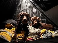 Review Image by justin mcgonigal justin mcgonigal