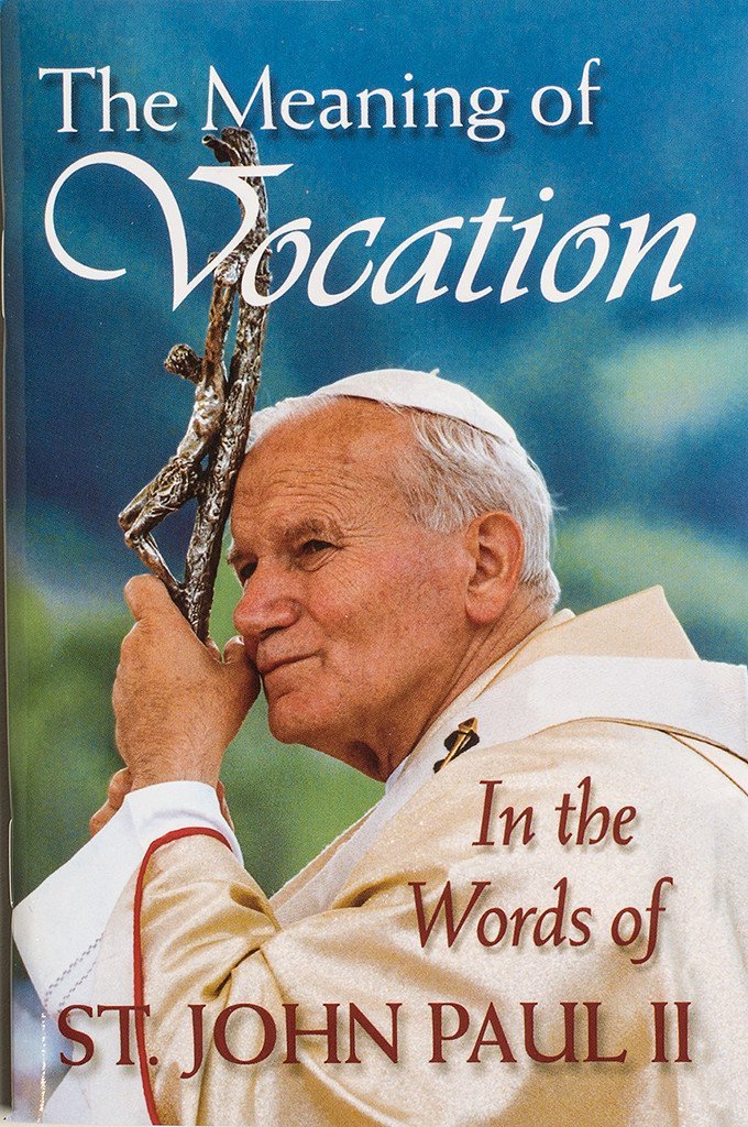 The Meaning of Vocation: Scepter Publishers: 9780933932999: Amazon.com ...