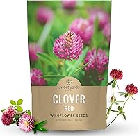 Vista 10 de Red Clover - Paquete grande de 1 onza - 15,000 semillas de flores para plantar - Trifolium pratense