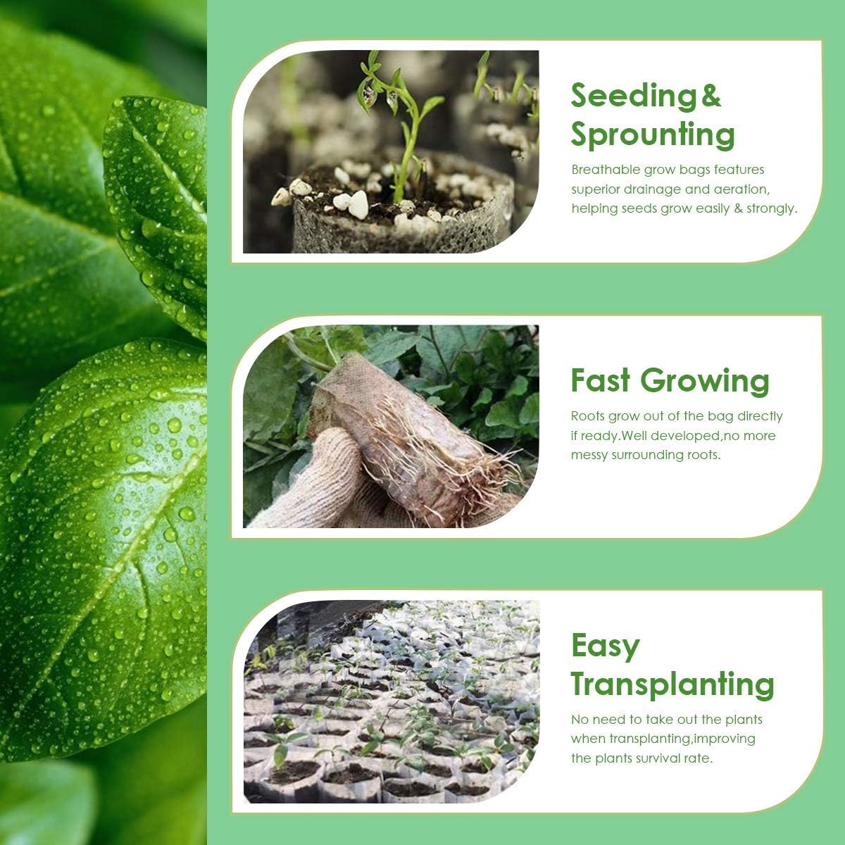 Seed Nursery Bags, Biodegradable Non-Woven Nursery Bags, Plant Grow Bags, Fabric Seedling Pots, Courtyard Garden Supply (100 Pcs) : Patio, Lawn & Garden