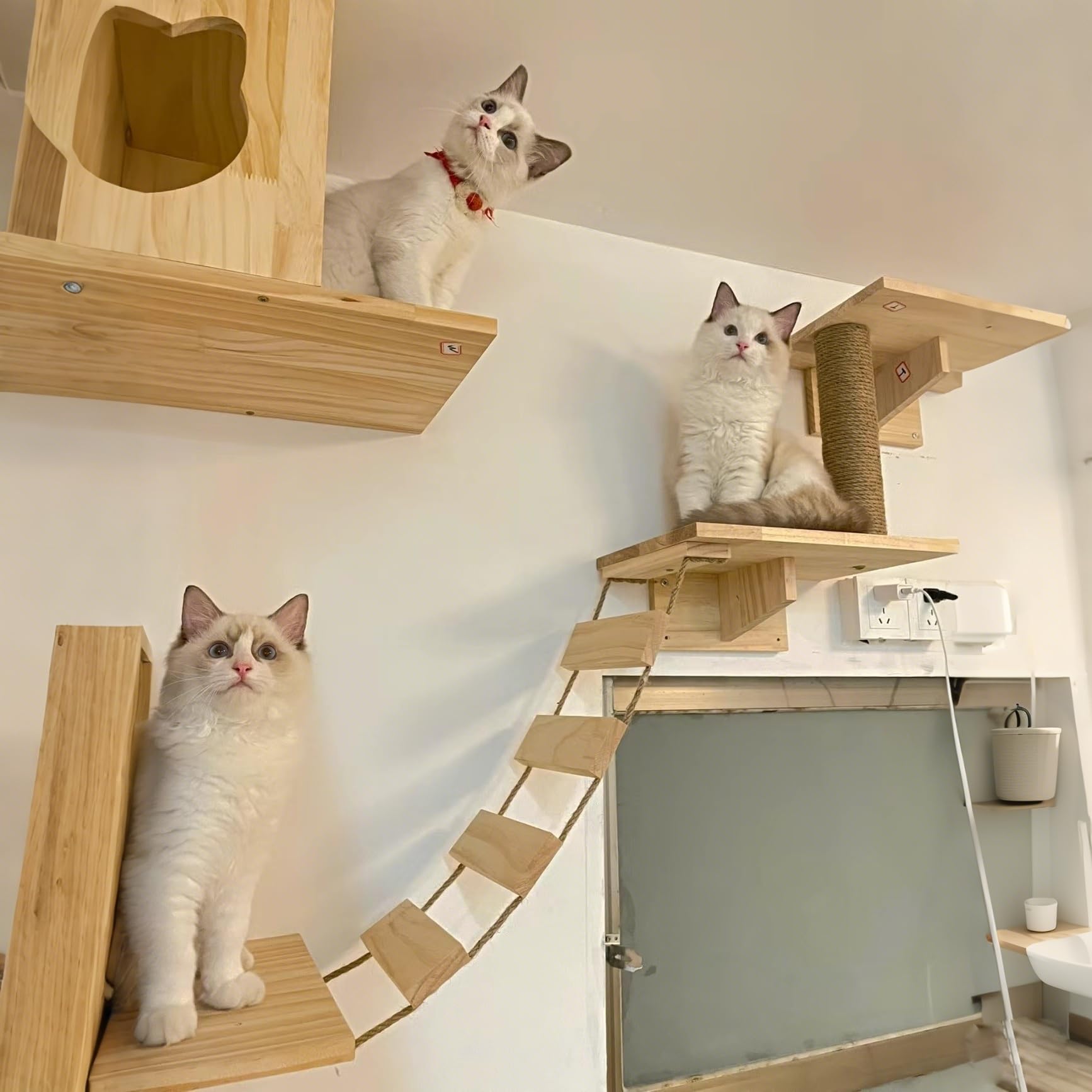 Mensole da parete per gatti, in legno massello, per arrampicata, parco giochi e tiragraffi per gatti