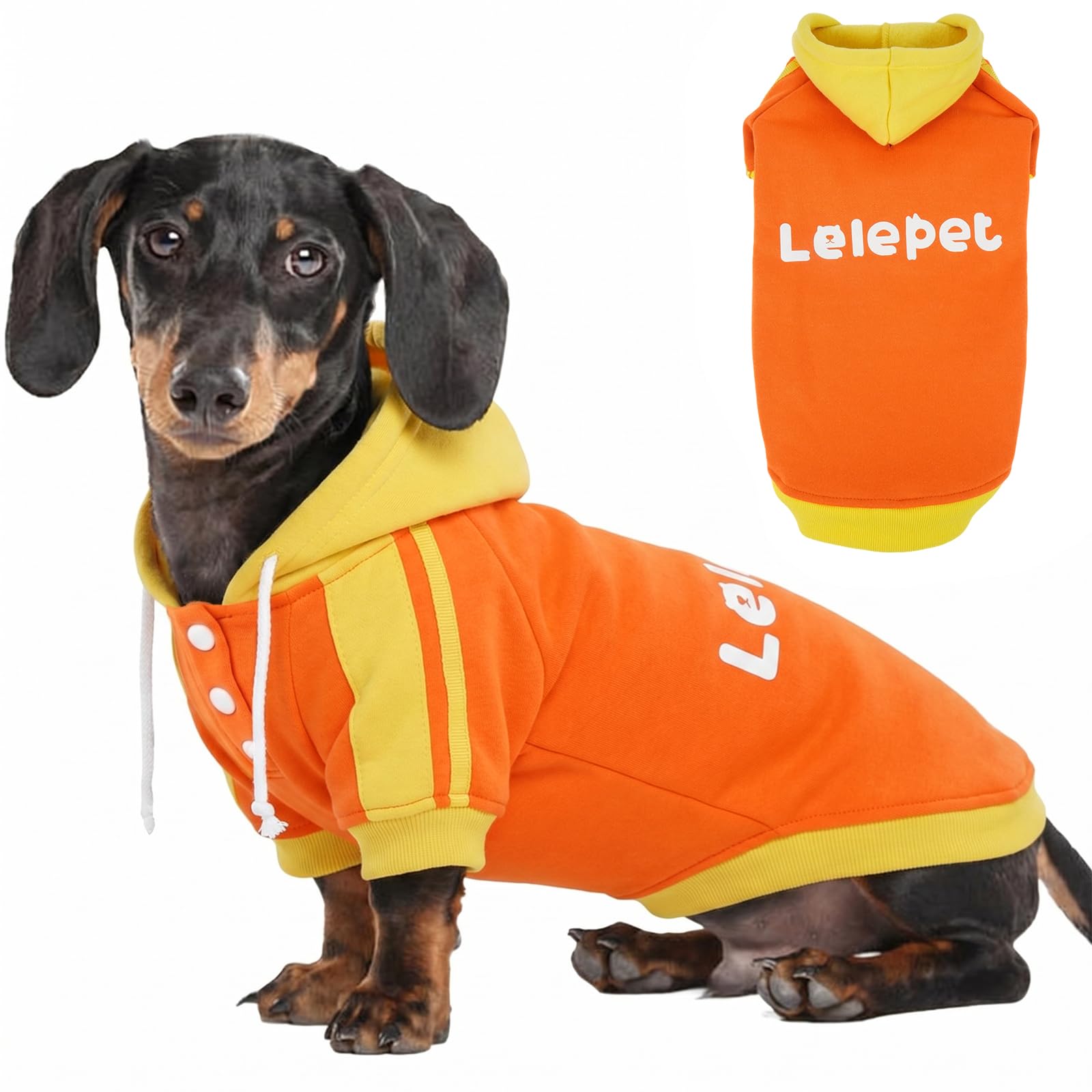 Lelepet Dachshund Hoodie, Puppy Sweatshirt with Lelepet Print, Orange L