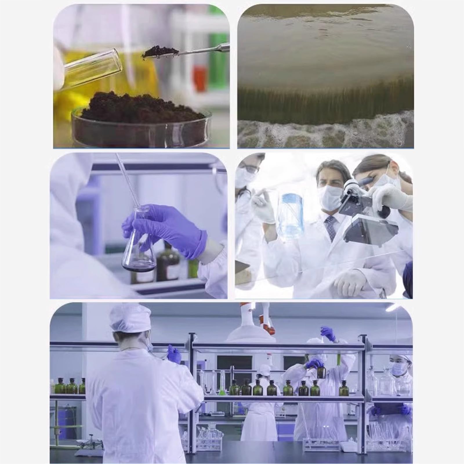 Ręczny homogenizator ultradźwiękowy, procesor sonikatora, sonda tytanowa 9 mm, pojemność 10-600 ml, laboratoryjny mikser zakłócający komórki do wydajnego emulgowania i mieszania