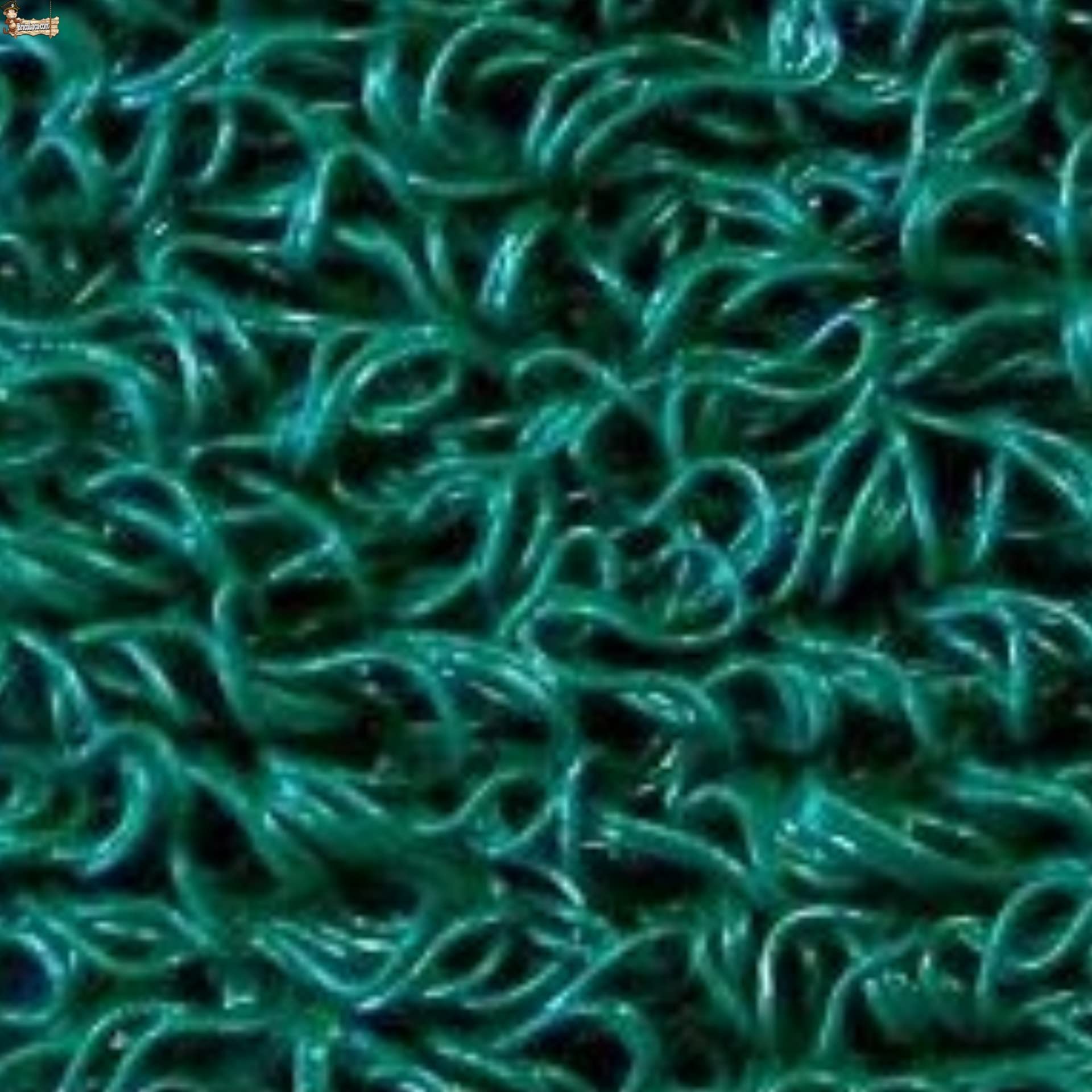 BricoLoco.com Wycieraczka Wejście do domu, taras. Guma Curl Zewnętrzna lub Wewnętrzna. Zielony. przez Metrów lub Roll. Szerokość 1,20 MTS. x 2 MTS. Długość. Grubość 14 mm. Bez podstawy. Dywan Vinyl loki. (Zielony, 2)