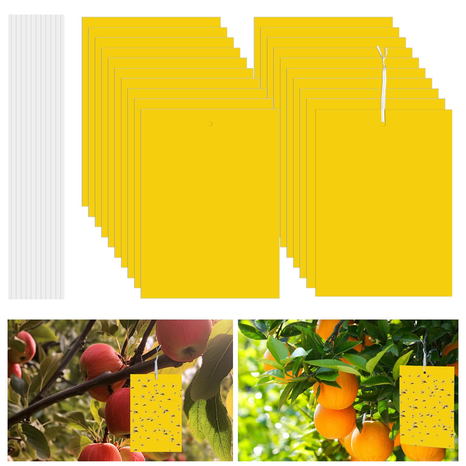 Flintronic 20 Pack Yellow Sticky Fly Traps,Fruit Fly Traps,Fly Paper Stickers,Double-Sided Yellow Sticky Traps,Fruit Fly Killer for Insect against Fungus Gnats, Whiteflies, Aphids, Leafminers,etc — image 1