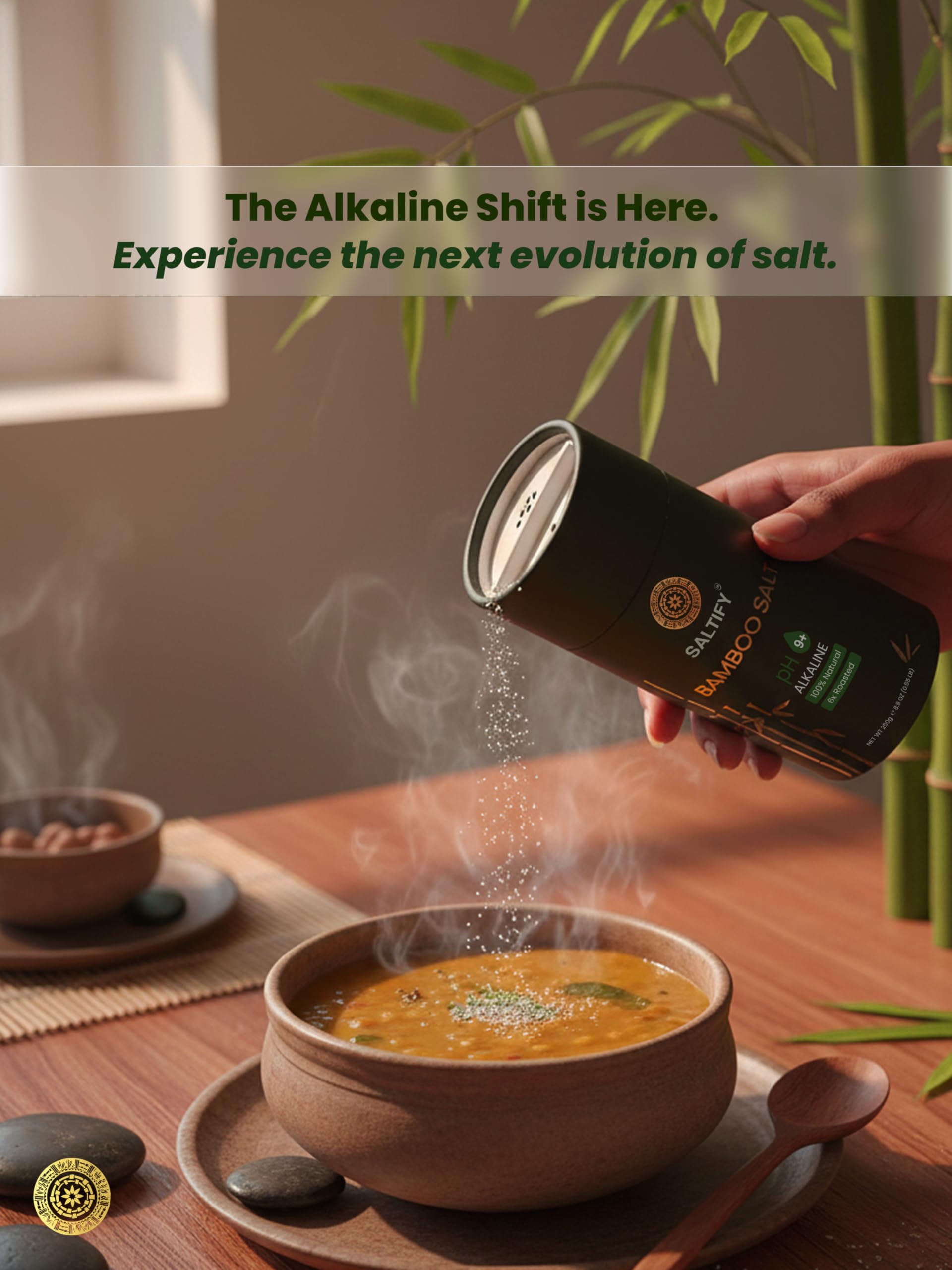 Saltify 6x Bamboo Salt | pH 9+ Alkaline | Six Times Roasted | Antioxidant | Anti-inflammatory | Natural Detox & Mineral-Rich Salt for Wellness | For Cooking | No Anti-Caking Agent | Powdered (500 g)