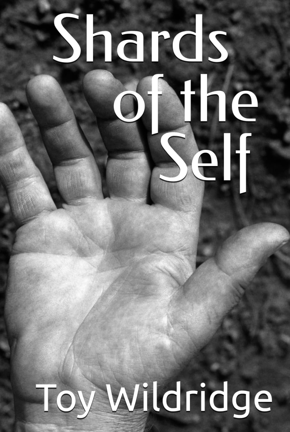 Shards of the Self      Hardcover – February 18, 2026