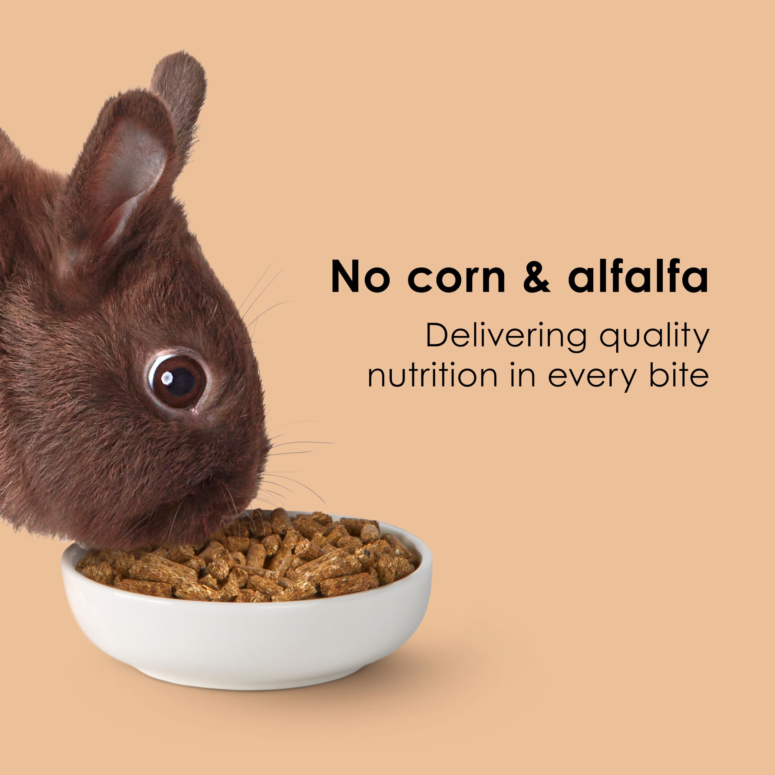 CBROSEY Kaytee Tim Hay Fiber Diet Complete Premium Alfalfa Free Rabbit Food 9.5lbs