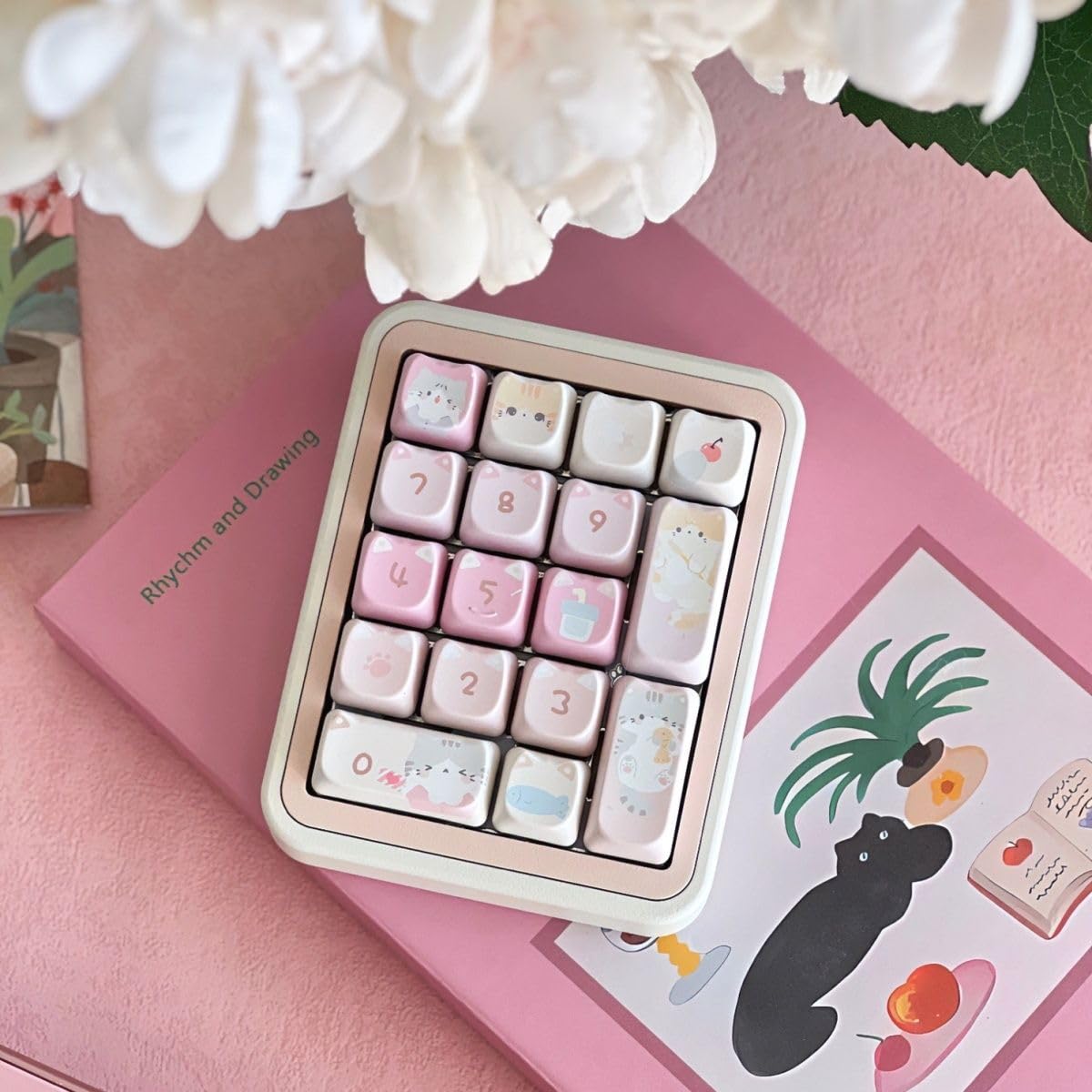 coco★cat Coco Cat - YouTube