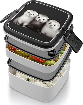 Bento Box Adult Lunch Box Lunchable Food Container with Utensil Ferrets Lunchbox Leak-Proof Lunch Containers Double Layer Bento Box for Dining Out Work Picnics Travel