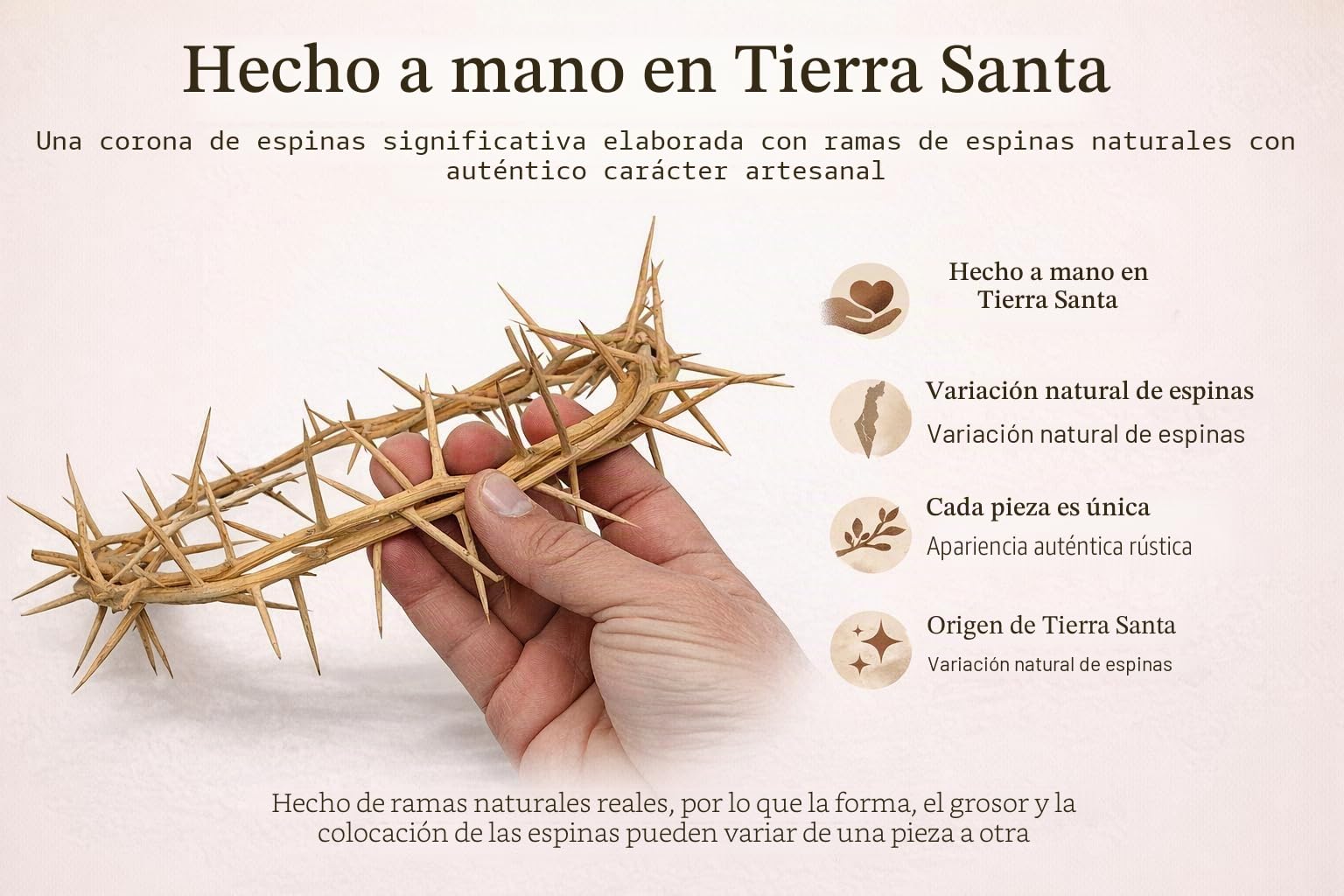 Zuluf - Corona de Espinas de Aproximadamente 19 cm de diámetro