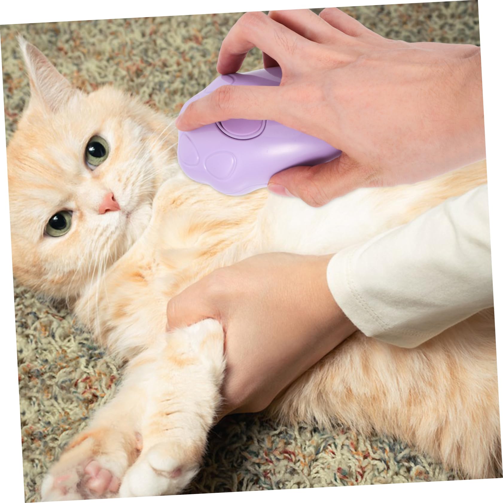YARNOW 4 Uds Cepillo De Para Gatos Cepillo Para Perros Para El Cuidado Eléctrico De Baño Para Mascotas De Para Mascotas Eléctrico Para El Pelo De